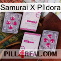 Samurai X Píldora 33